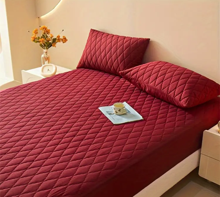 PROTECTOR ANTIFLUIDO 2 FUNDAS DE REGALO 🎁